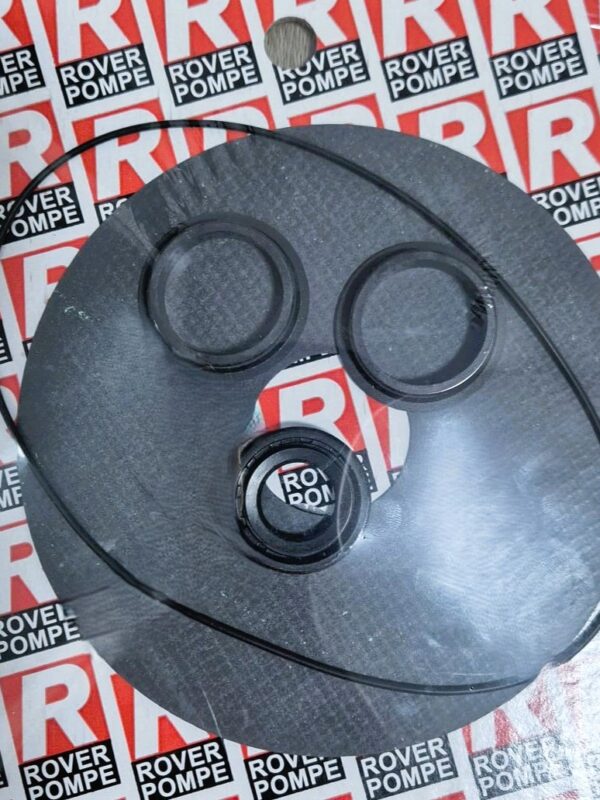 Kit de juntas Rover Pompe - 1995 BE 14-16-20 (030035)